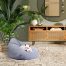 cuccia per cani design